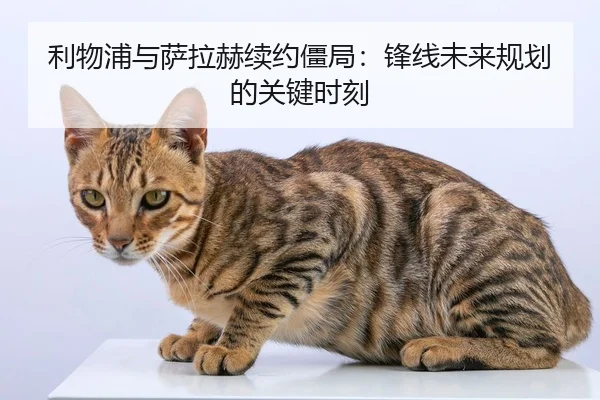 利物浦与萨拉赫续约僵局：锋线未来规划的关键时刻