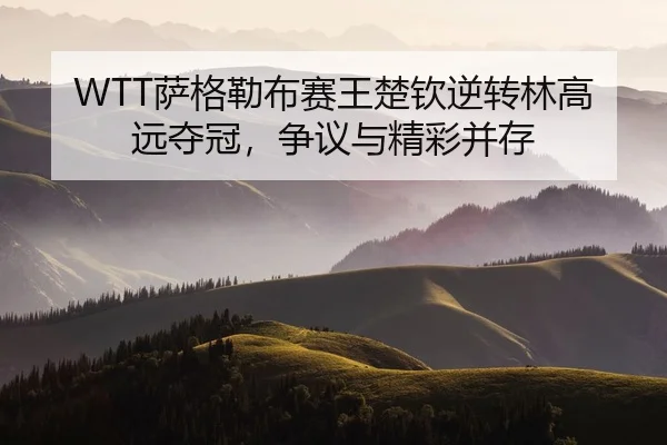 WTT萨格勒布赛王楚钦逆转林高远夺冠，争议与精彩并存