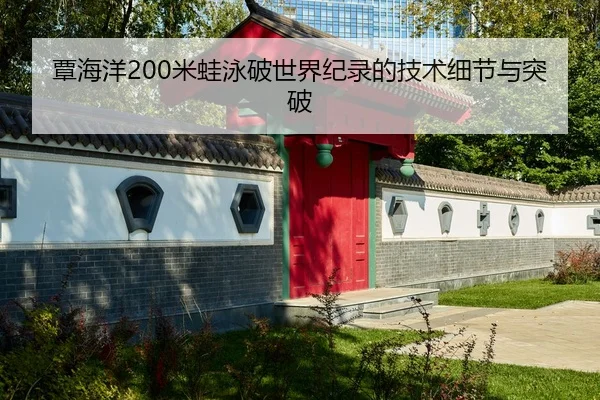 覃海洋200米蛙泳破世界纪录的技术细节与突破